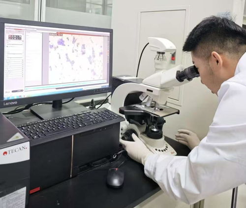 38.97億刷新紀(jì)錄！呼和浩特科創(chuàng)成果轉(zhuǎn)化跑出“首府速度”